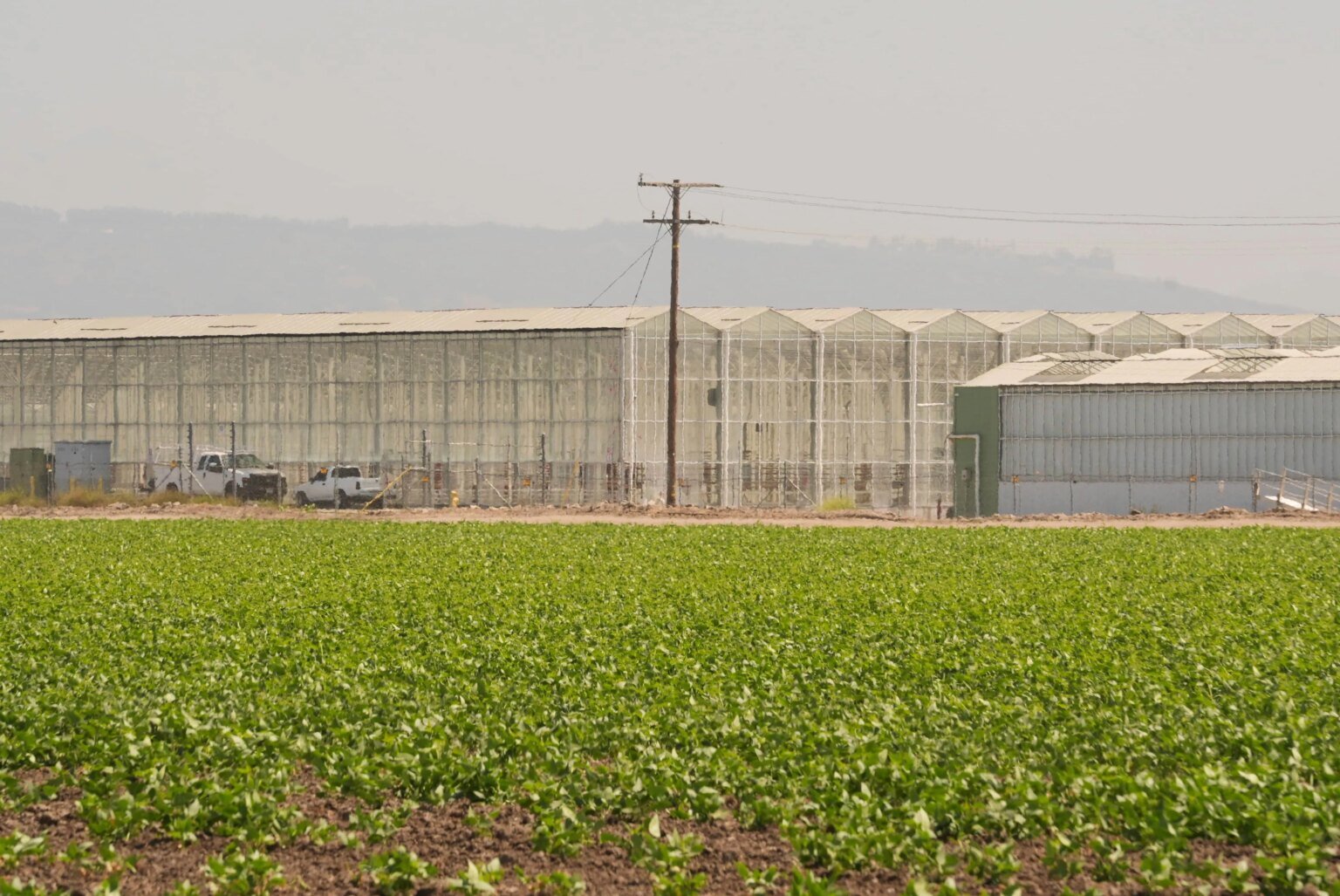Journalist sues ICE for records about deadly immigration raid at California cannabis farm