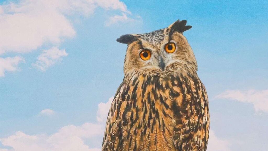Review: The Fugitive Owl Who Captured New York’s Attention