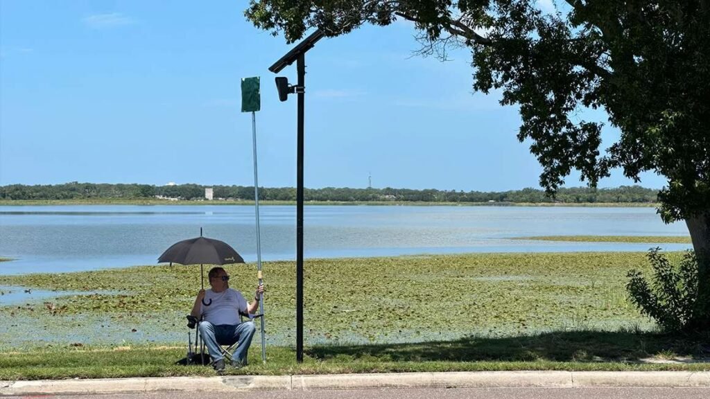 Photo: Fighting Flock From a Lawn Chair Photo: Fighting Flock From a Lawn Chair