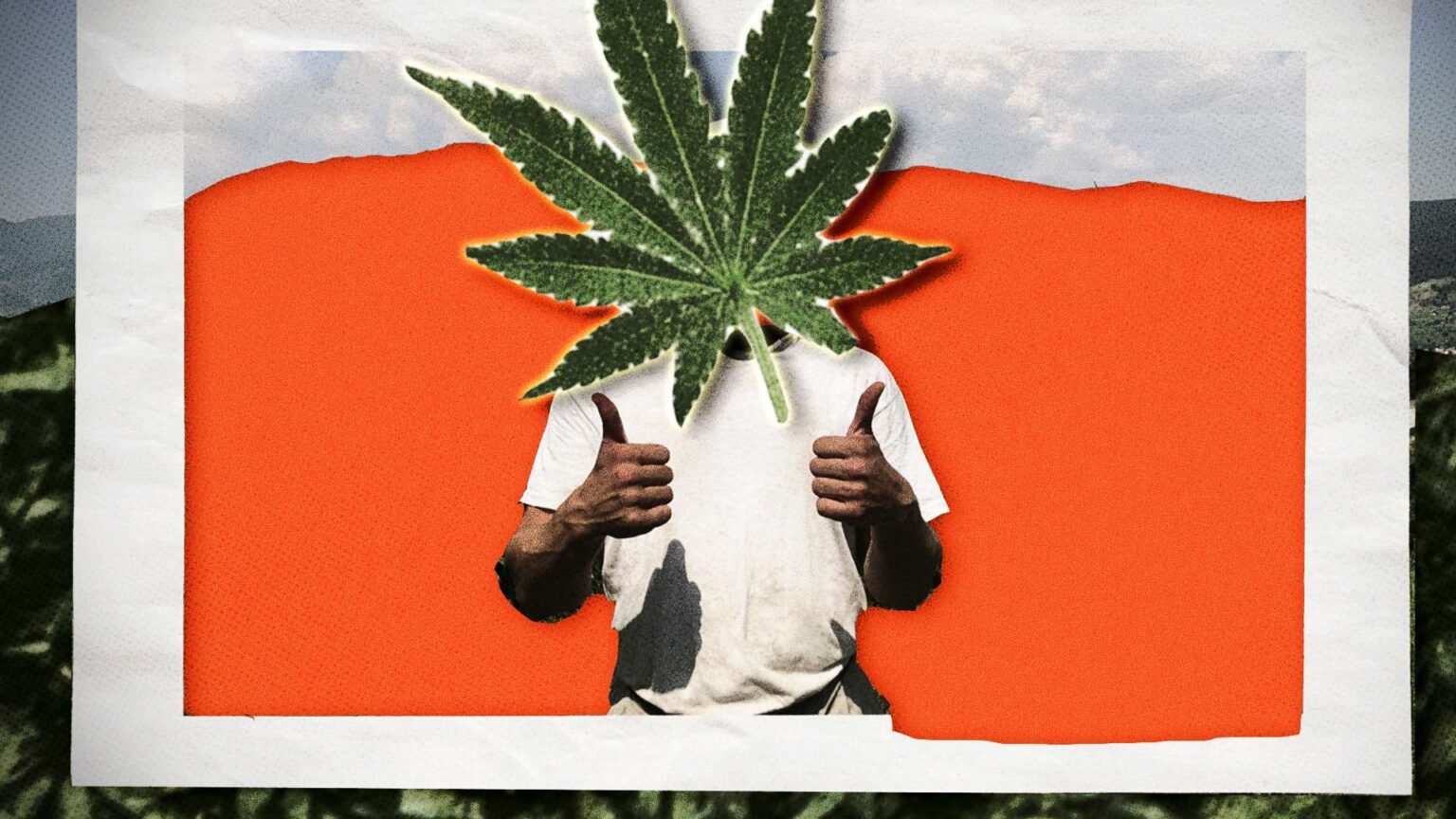 Police Allegedly Destroyed ,000 of Legal Hemp. Georgia’s Supreme Court Just Upended 60 Years of Precedent.